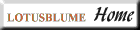 LOHOME